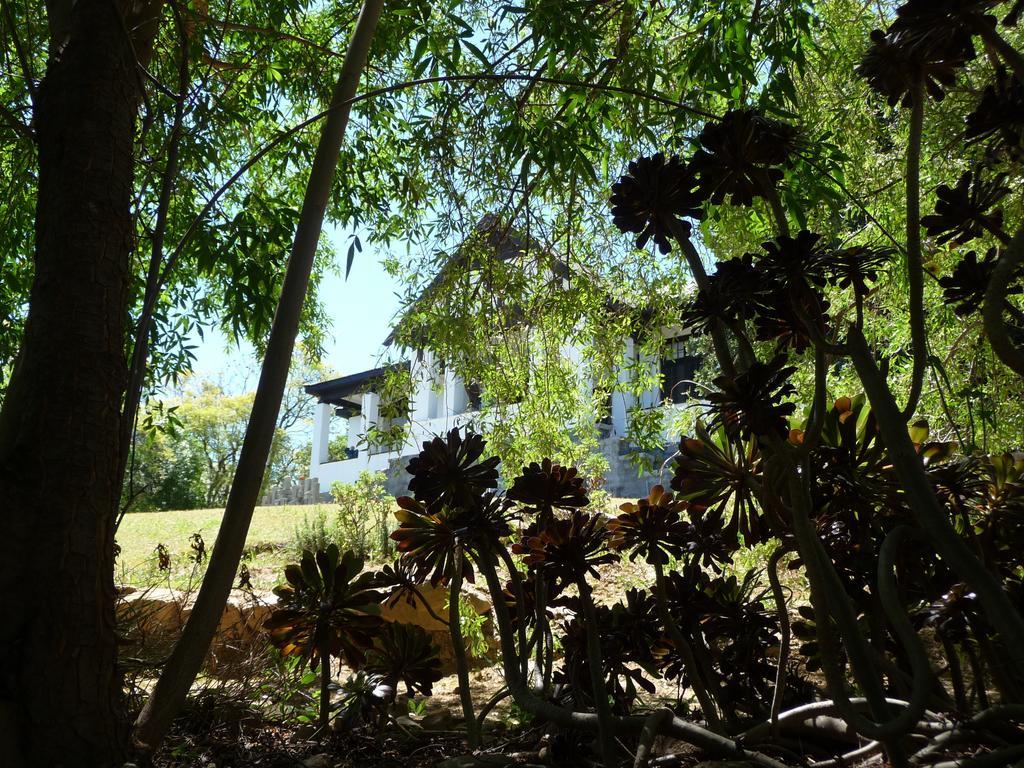 Karoo Soul Hostel Oudtshoorn Luaran gambar